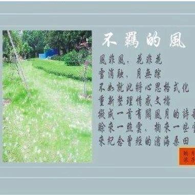 不羁的风