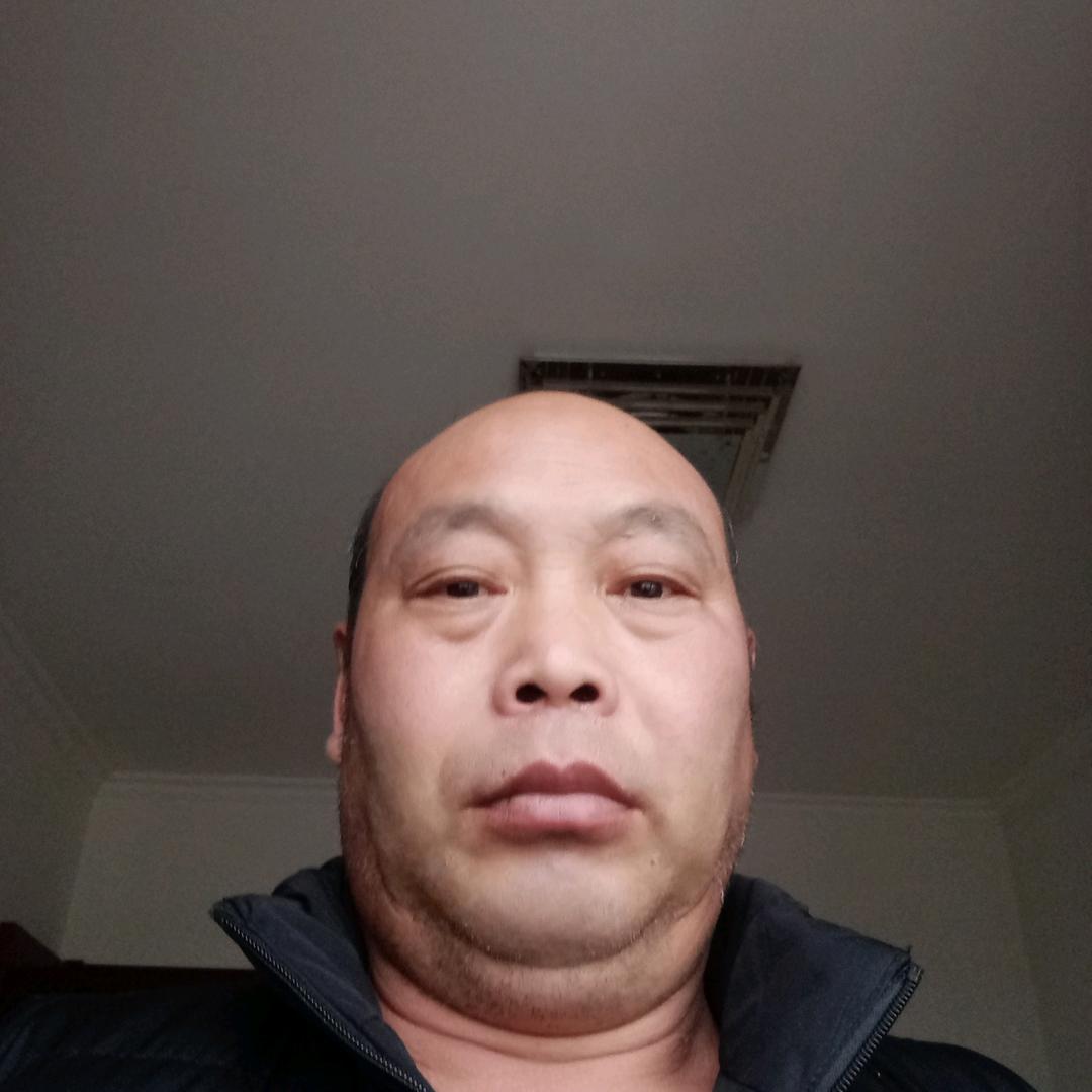 老杨，，，