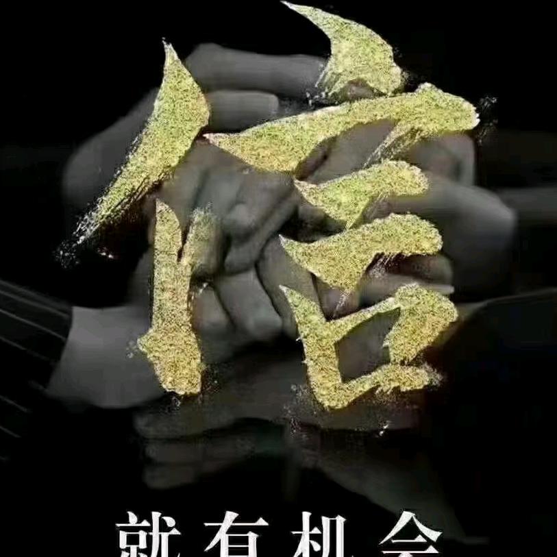 十四度