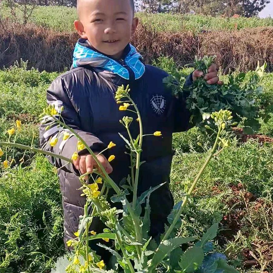 何年何月是个头