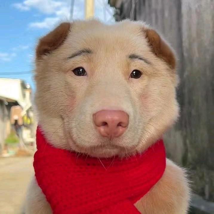 朕有抖宫佳丽三万千