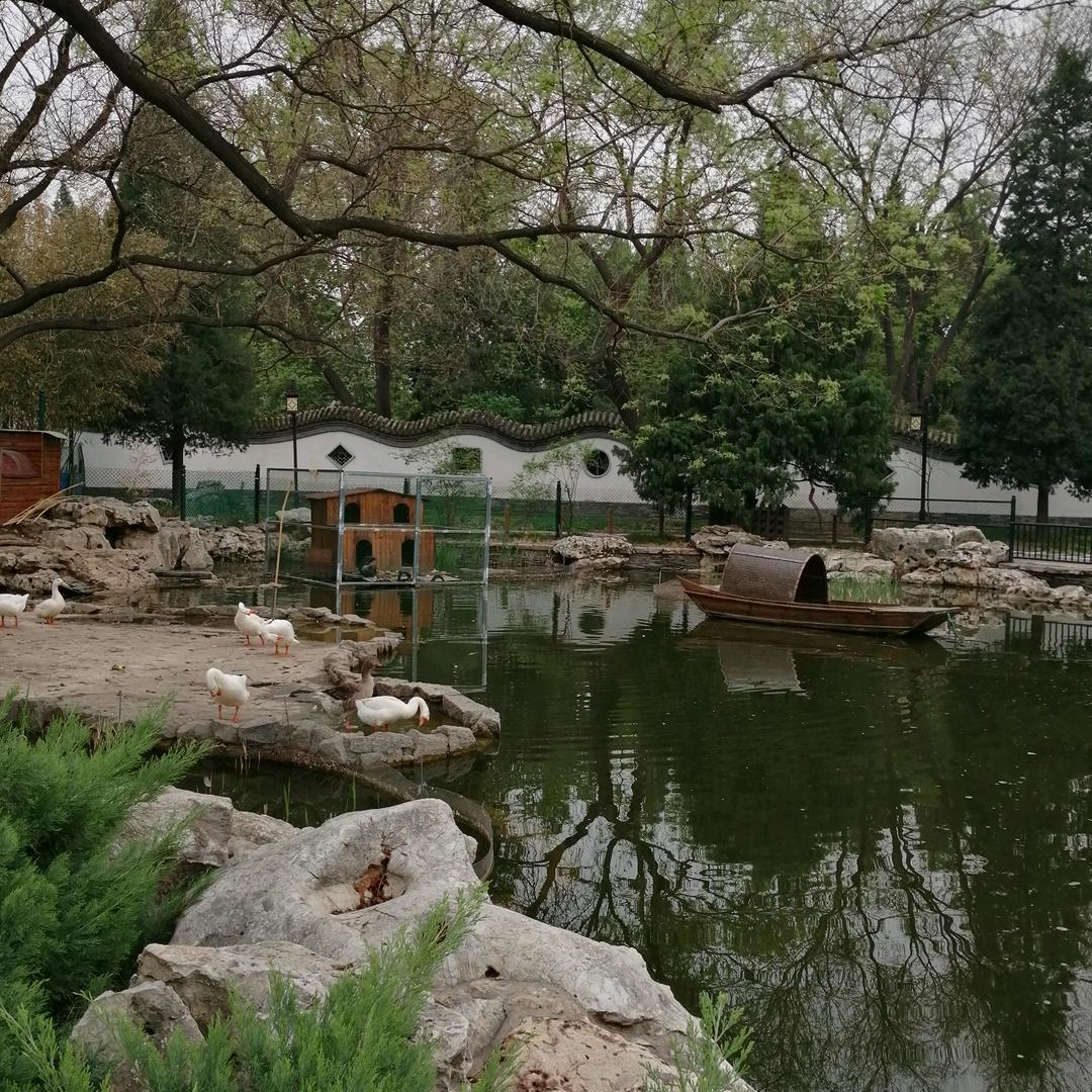 🎎登高💕望远🏡8023🎉