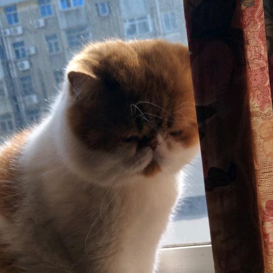 别让我一个人醉