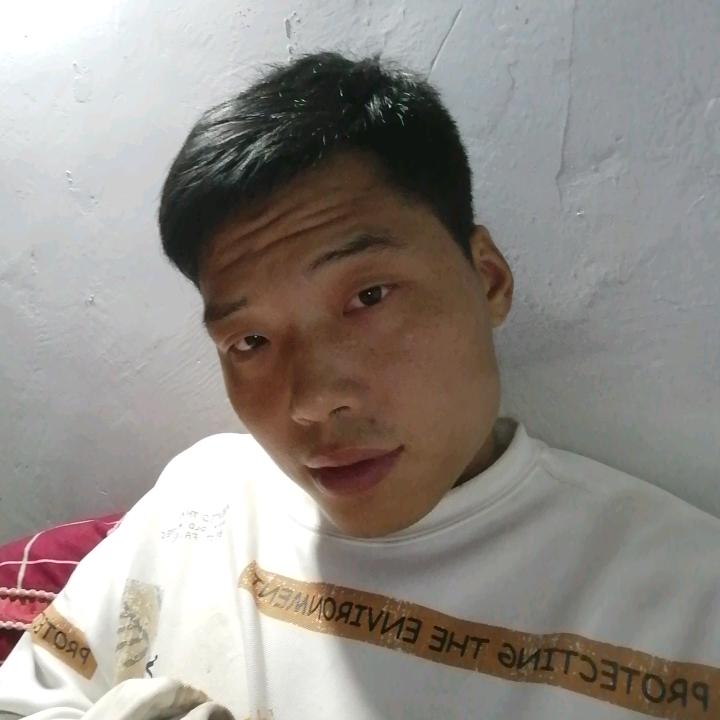 海朋汽车骆驼电瓶