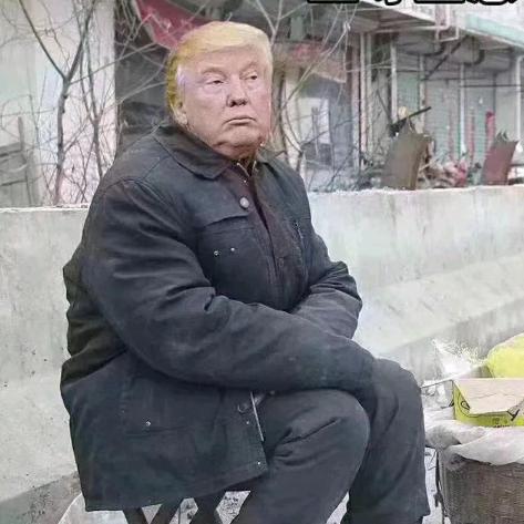 豺狼的日子