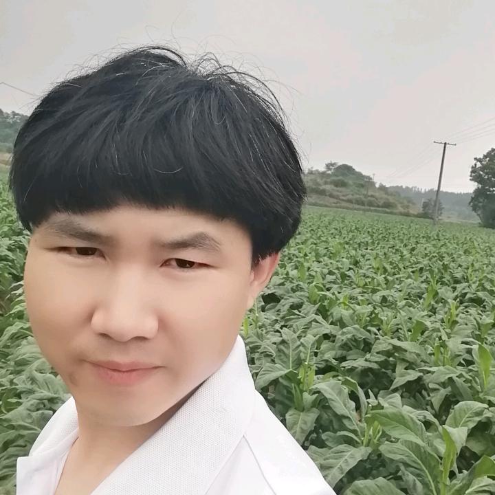 上进的草莓6d4