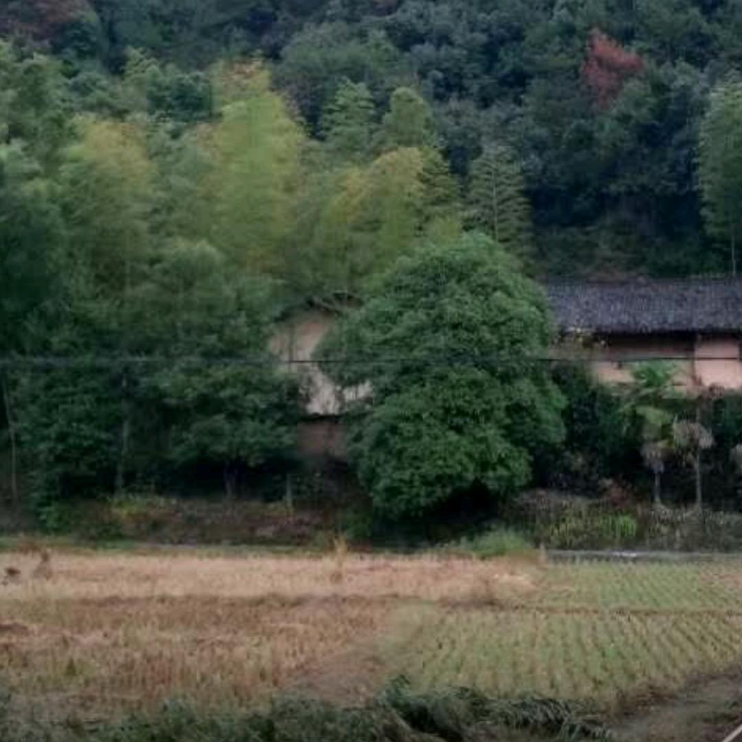 小草