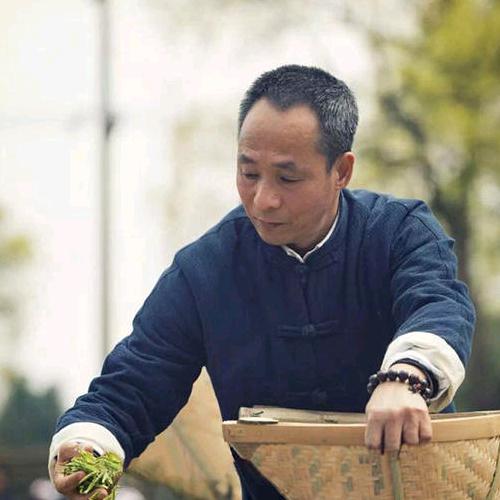 褔鼎白茶陈宝振