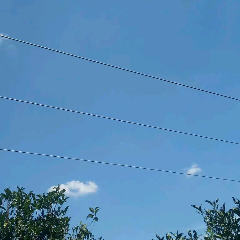 机长解说游戏副号