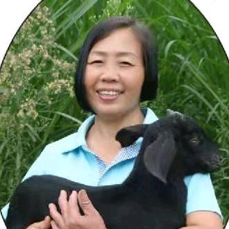 羊十娘