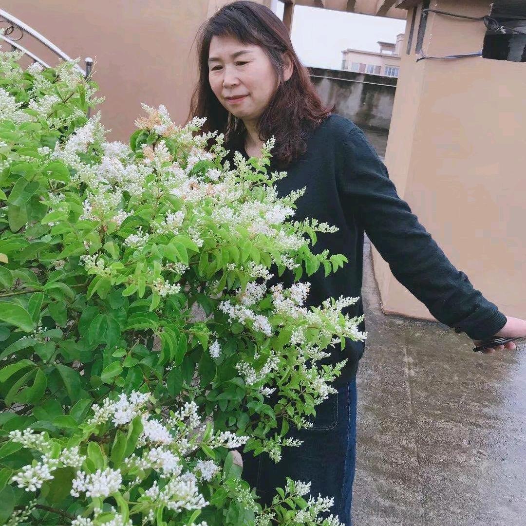幸福容容