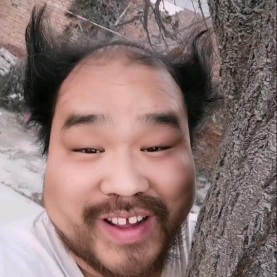 树哥