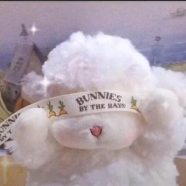 似乎又是一个多余的问号