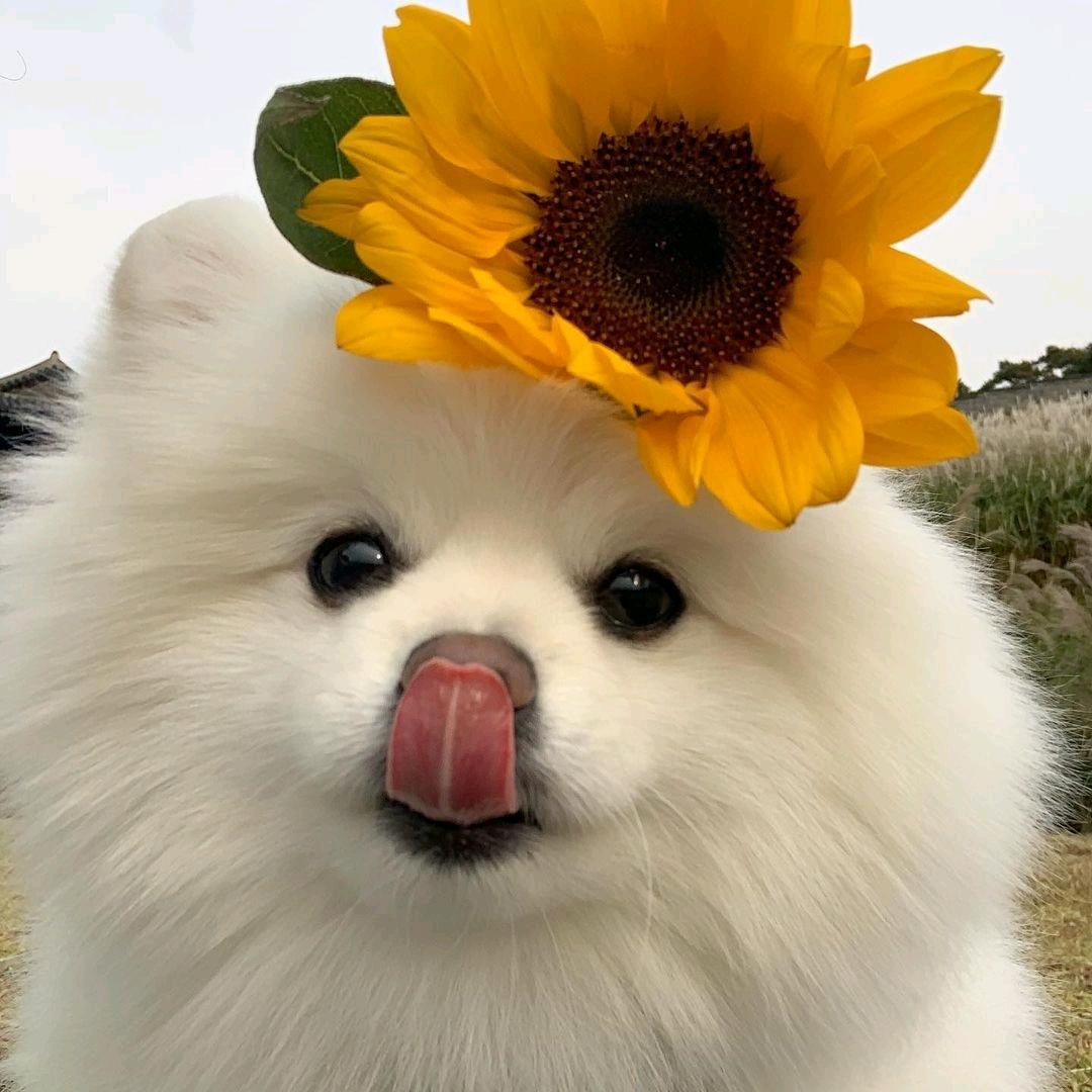 快乐永动机🌞
