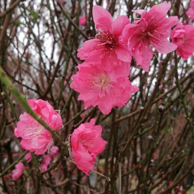 〖只 属 于 我〗