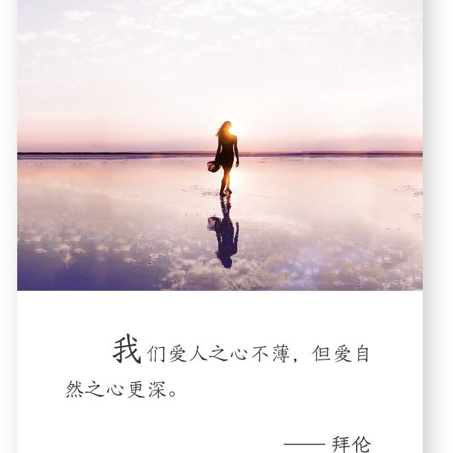 情森