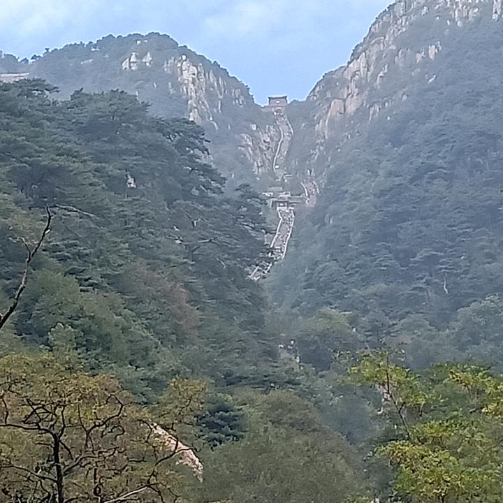 凡妈