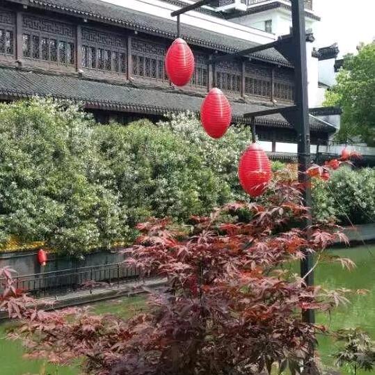 夏日心情