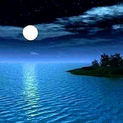 ✨江月湖星✨