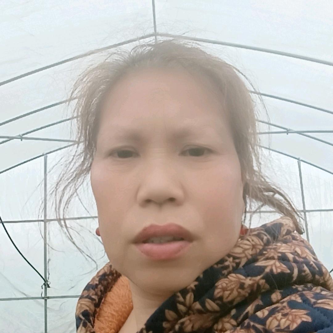 卖辣椒苗的唐大姐、