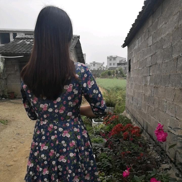 你若不离我定不弃