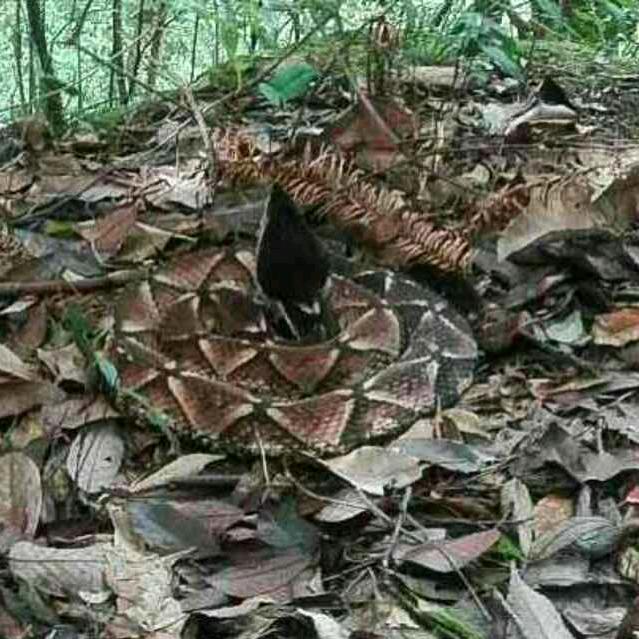 余生长醉
