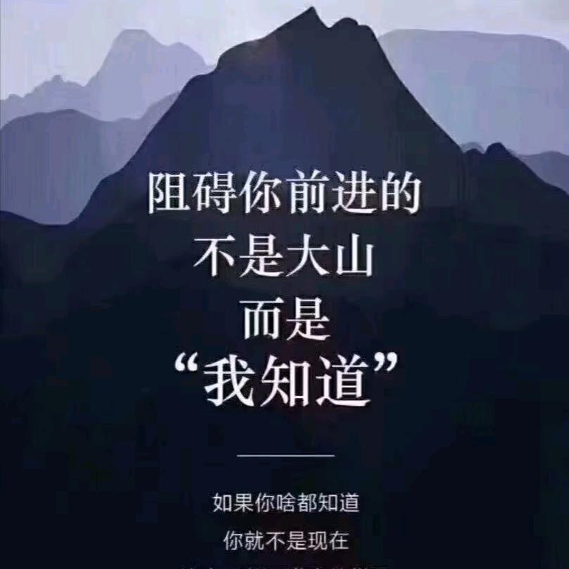 我的文字里有你的故事