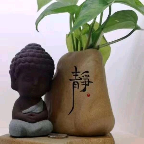柠檬说剧