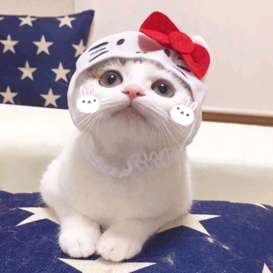 沫