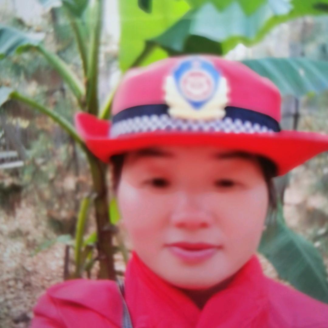 心动的小鸟