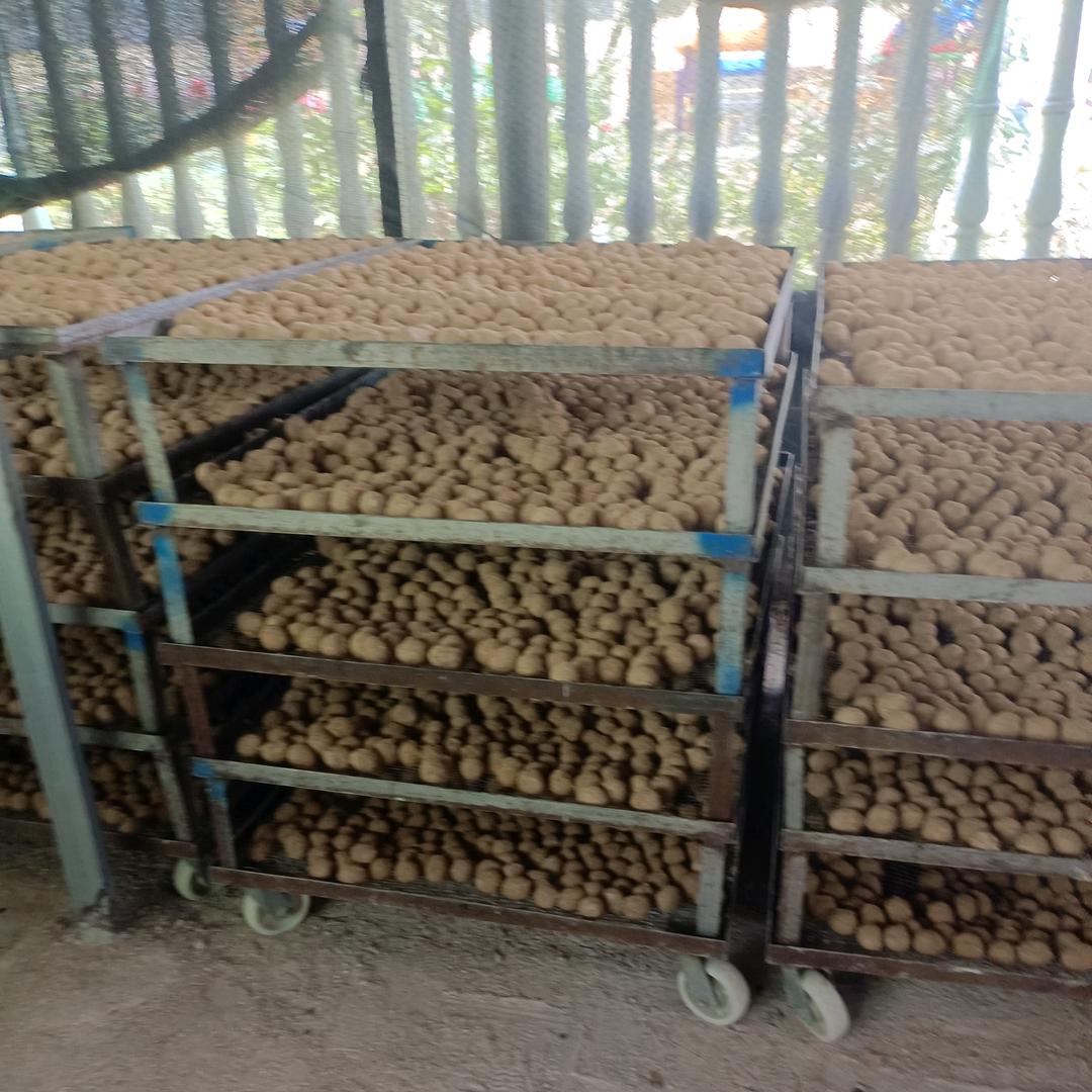 卫星变蛋加工厂