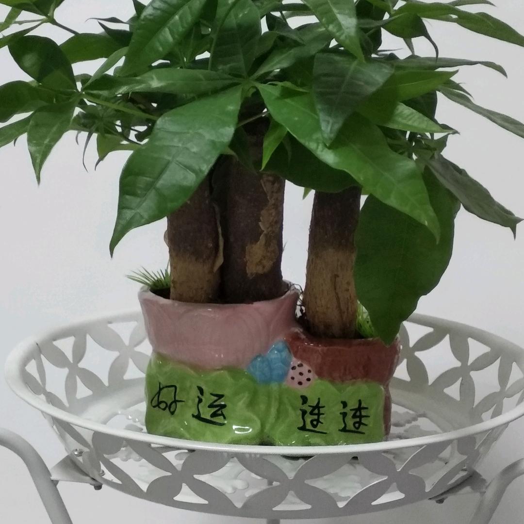 用户简单幸福