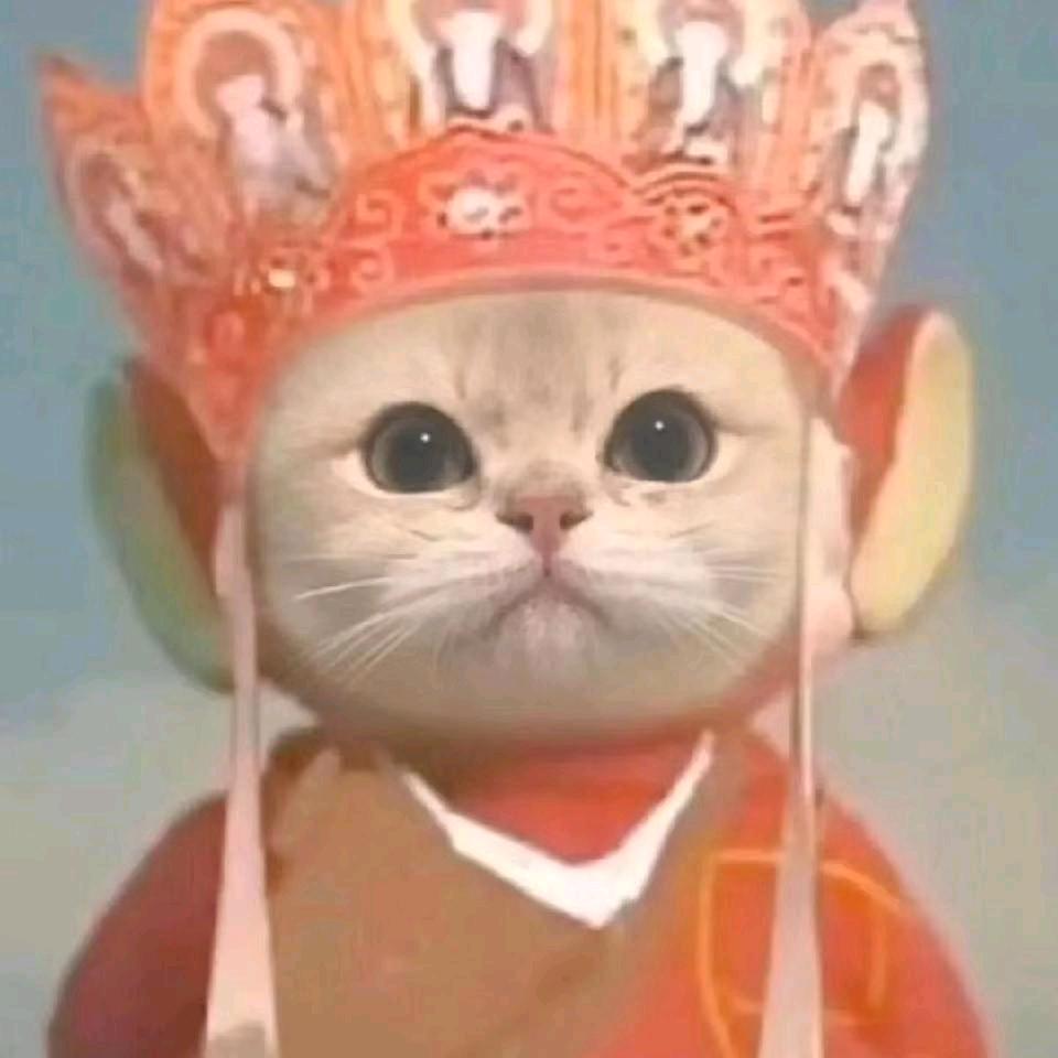 🌈家长不让打架