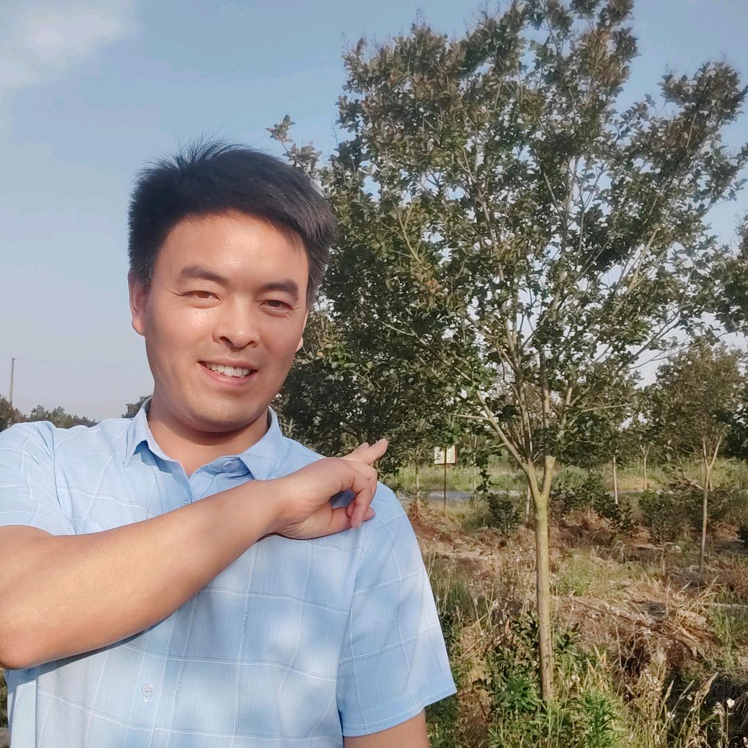 天鹅绒紫薇闯哥