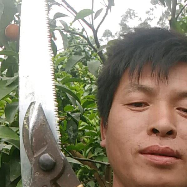燕万梁快多加衣