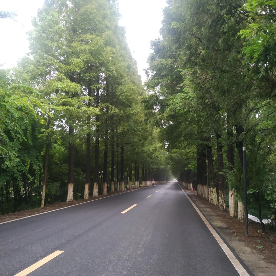 爱而不得，最难受