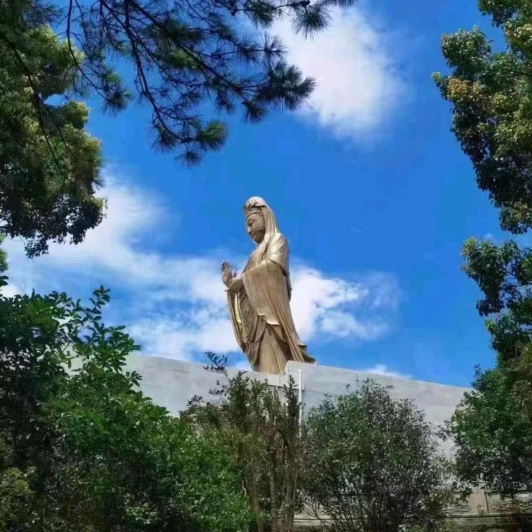 普陀山导游 宏泱