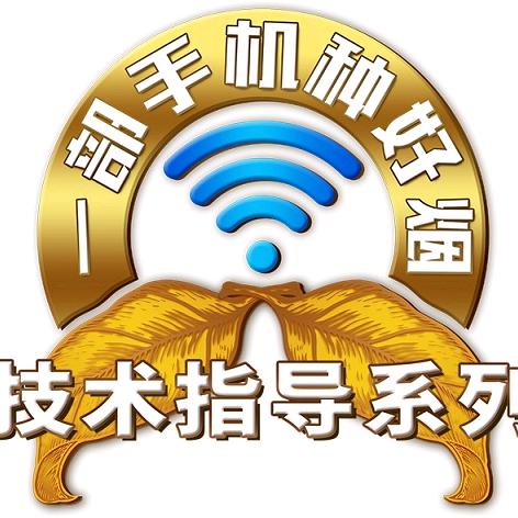 一部手机种好烟