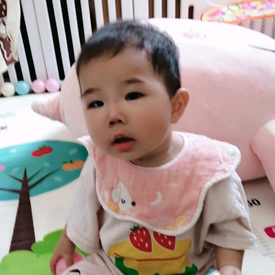 可爱的小猪猪🐷