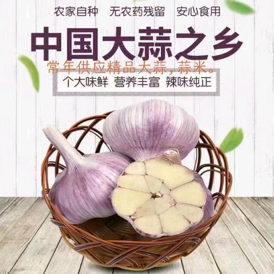 临颍县丰耕种植专业合作社