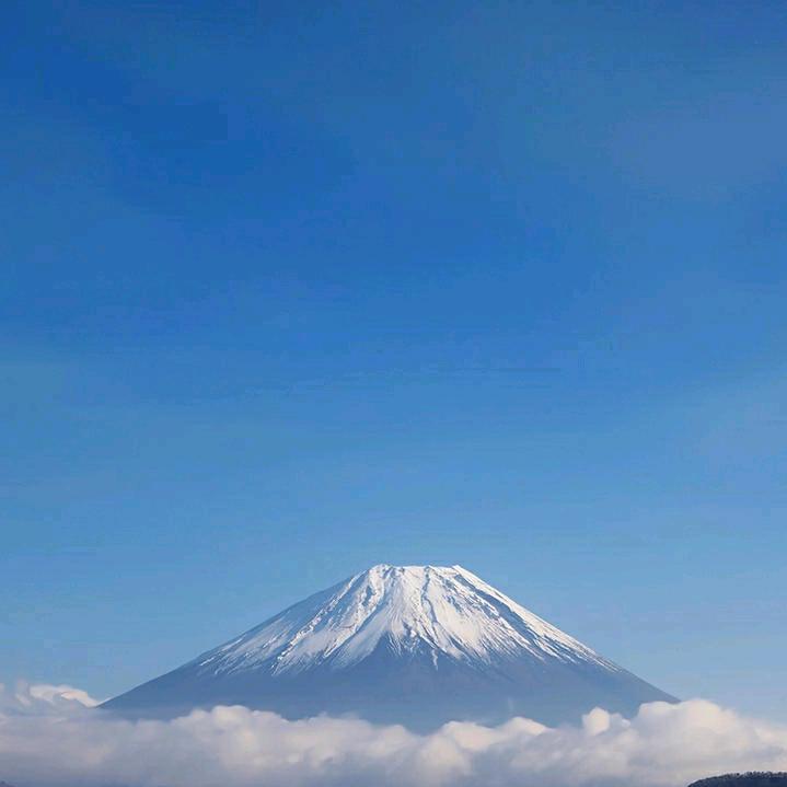 用户5500839078875
