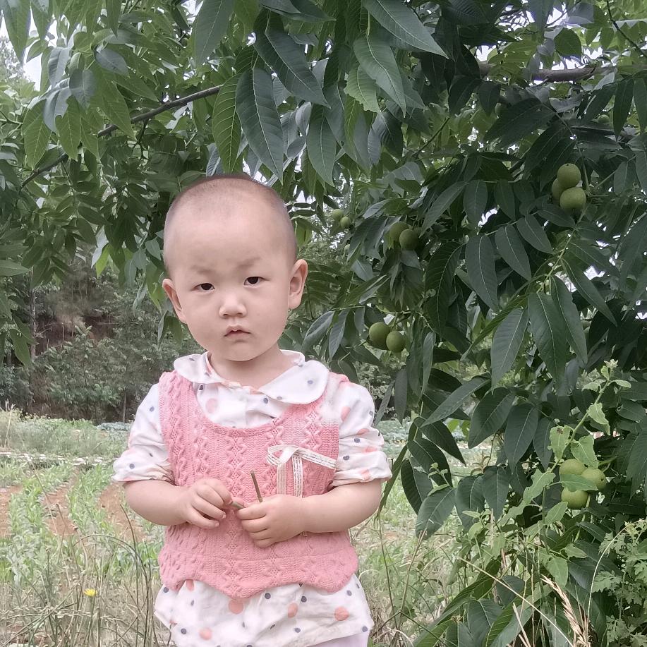 二姐