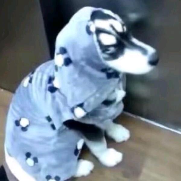 范海