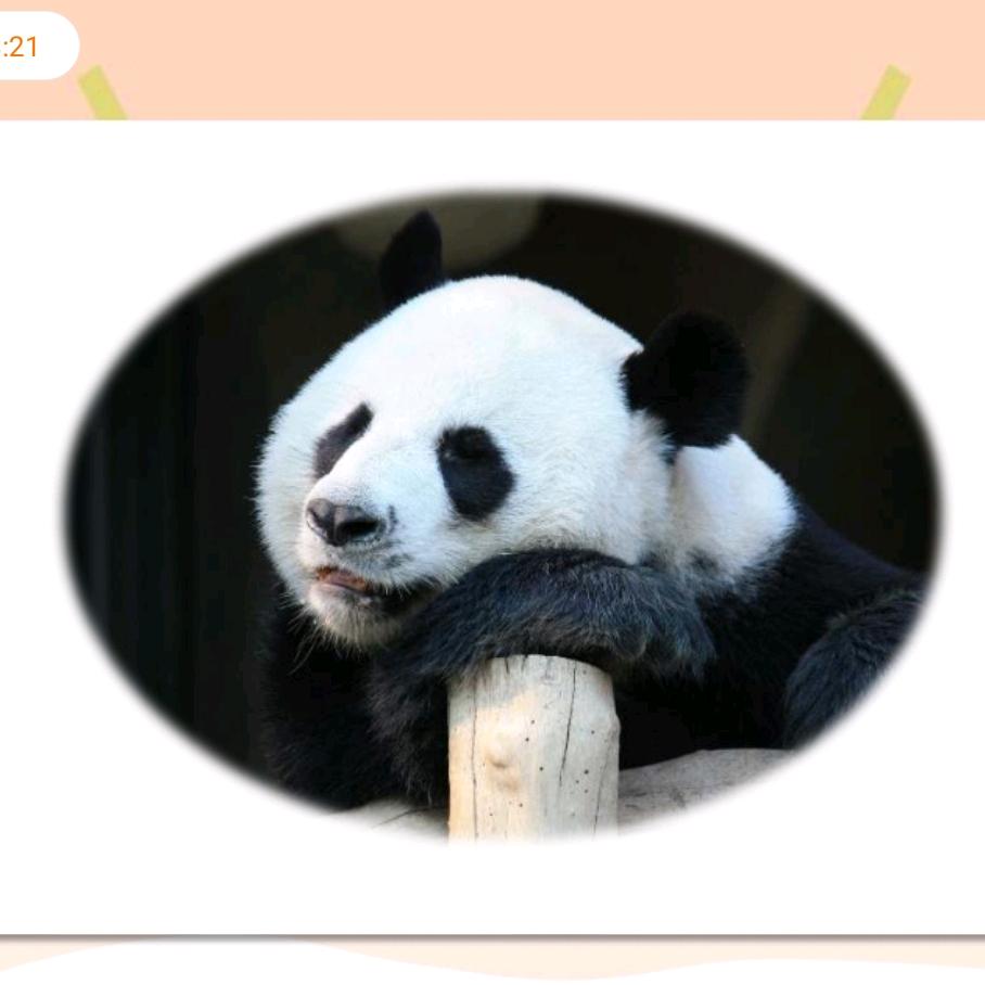 天涯