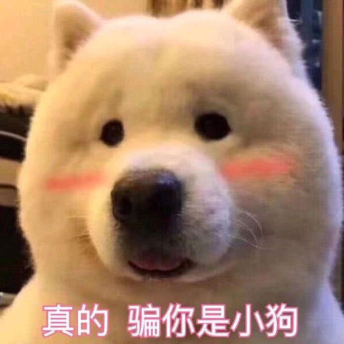 丁巧丽