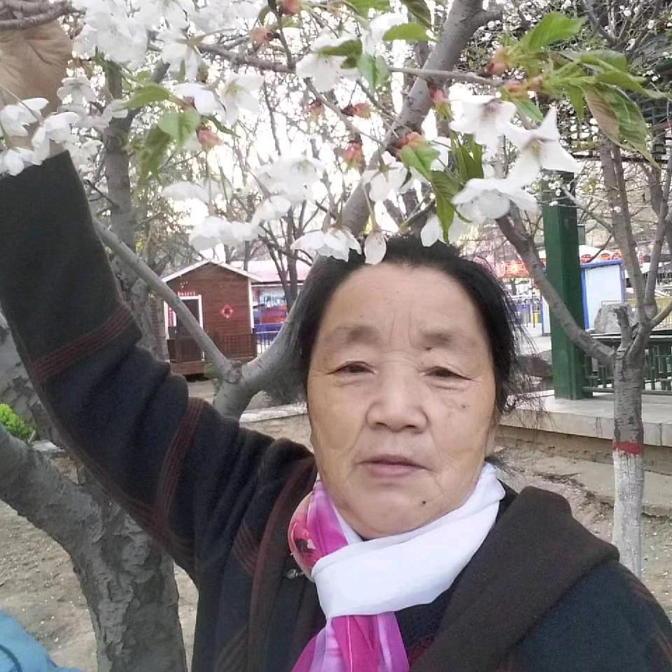 ’贺姐