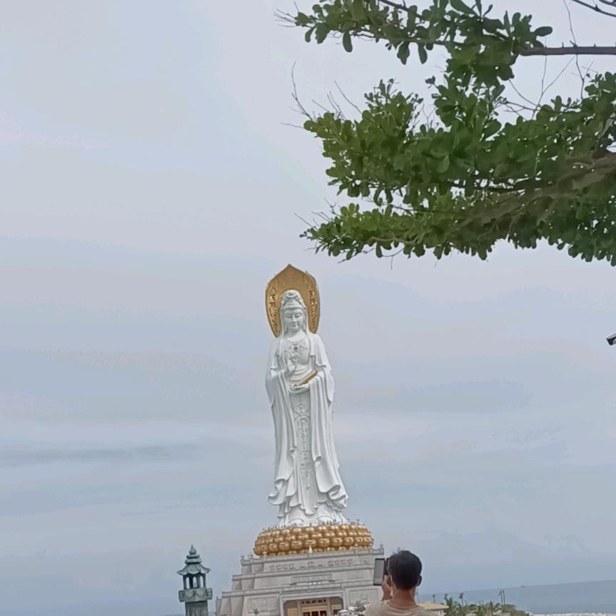 害虫