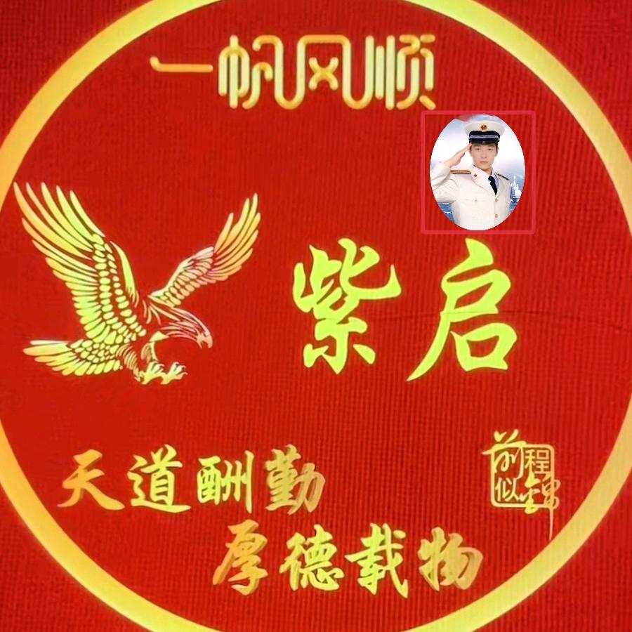 紫启