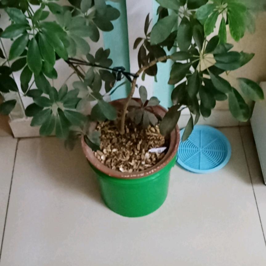 唯我独尊