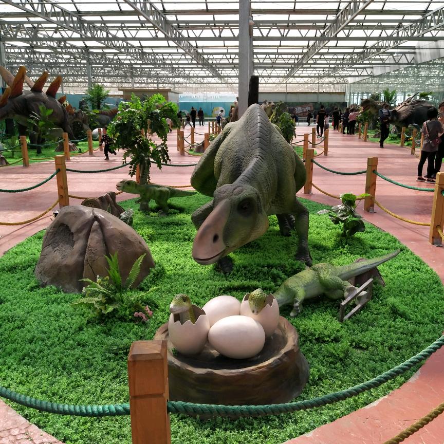 鲁青杨